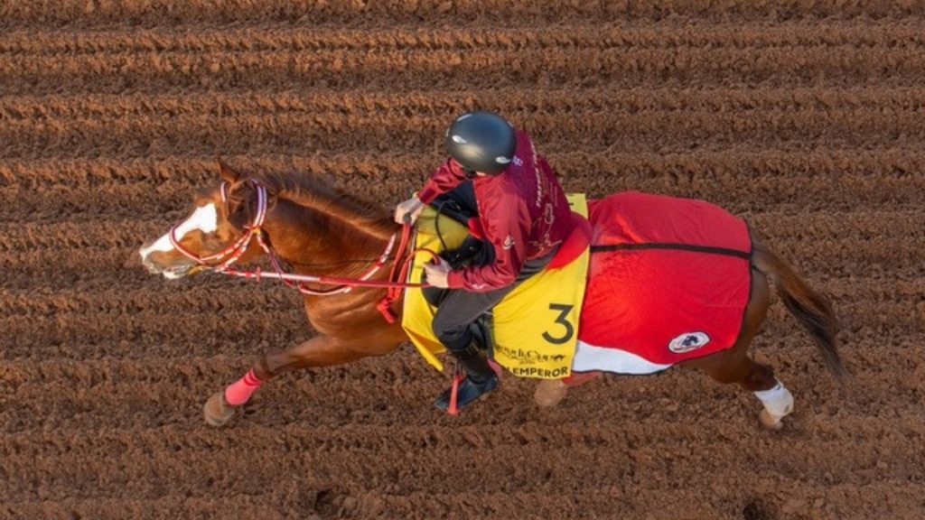 Shin Emperor is back in Saudi Arabia as he bids to retain the Neom Turf Cup.