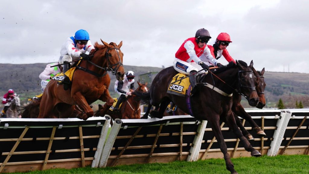 Apolon De Charnie ridden by Patrick Mullins (back right) clears the last before going on to win the JCB Triumph Hurdle on day four of the 2026 Cheltenham Festival at Cheltenham Racecourse.