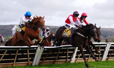 Apolon De Charnie ridden by Patrick Mullins (back right) clears the last before going on to win the JCB Triumph Hurdle on day four of the 2026 Cheltenham Festival at Cheltenham Racecourse.