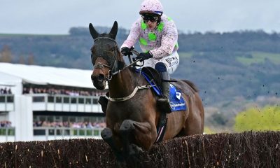 Gaelic Warrior and Paul Townend