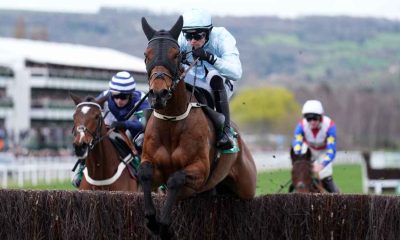 Kargese jumps a fence in the Arkle