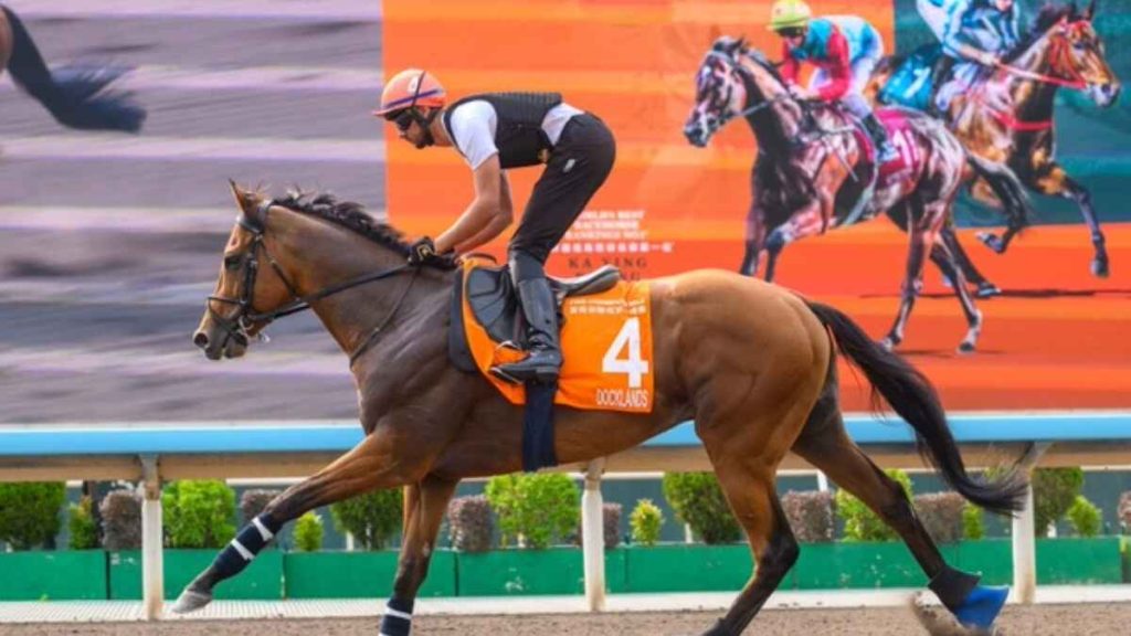 Docklands targets big-race success overseas