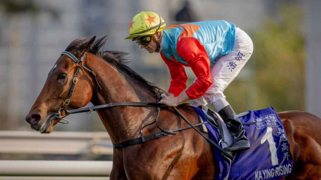 Ka Ying Rising bids to extend his dominance at Sha Tin