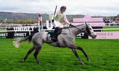 Lossiemouth winning the Champion Hurdle at Cheltenham