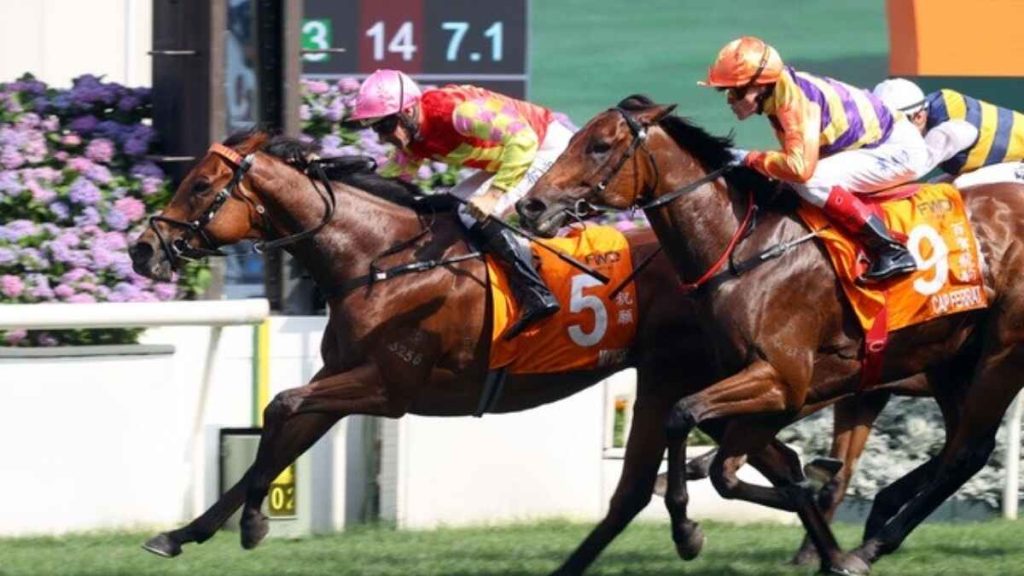 My Wish (left) edges a thriller in the Champions Mile