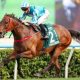 Romantic Warrior powers to QEII Cup glory