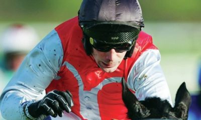 Minella Study ridden by Ryan Mania winning at Cheltenham, December 2025