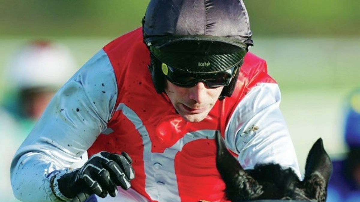 Minella Study ridden by Ryan Mania winning at Cheltenham, December 2025