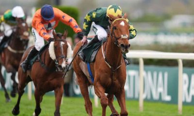 Will The Wise stormed to Topham glory