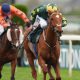 Will The Wise stormed to Topham glory