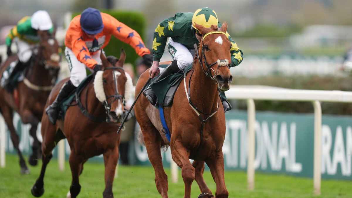 Will The Wise stormed to Topham glory