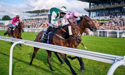 Goodwood Racecourse partners with Fitzdares for early Summer fixtures