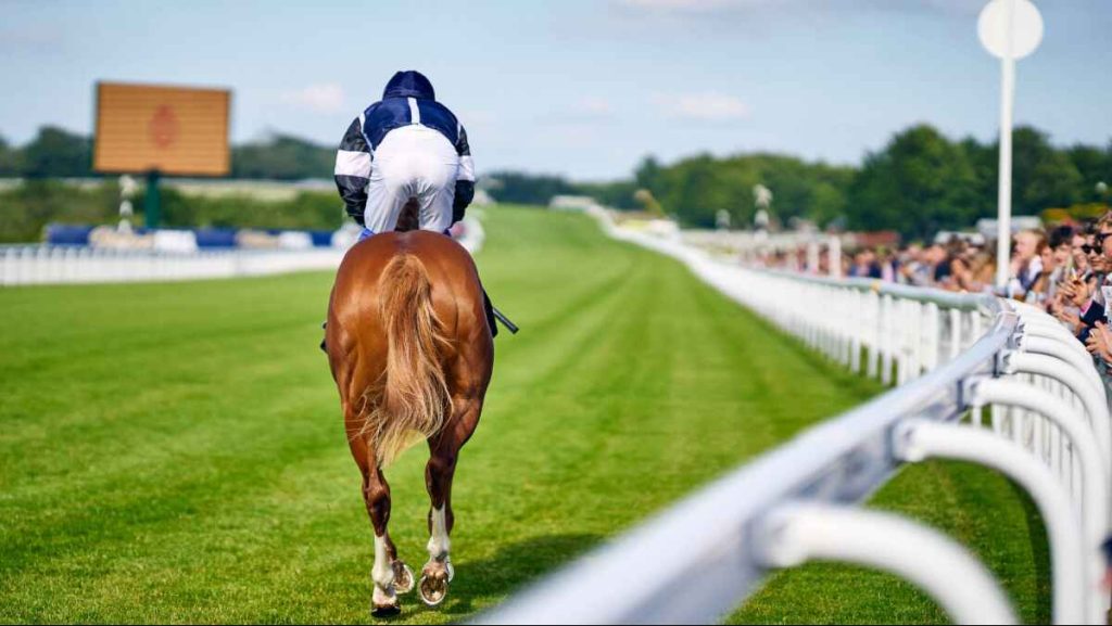 Season Opener, May Festival and Three Friday nights to be presented by Fitzdares at Goodwood Racecourse
