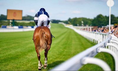 Season Opener, May Festival and Three Friday nights to be presented by Fitzdares at Goodwood Racecourse