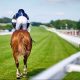 Season Opener, May Festival and Three Friday nights to be presented by Fitzdares at Goodwood Racecourse