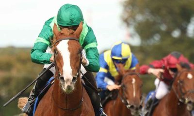 Benvenuto Cellini Epsom Derby