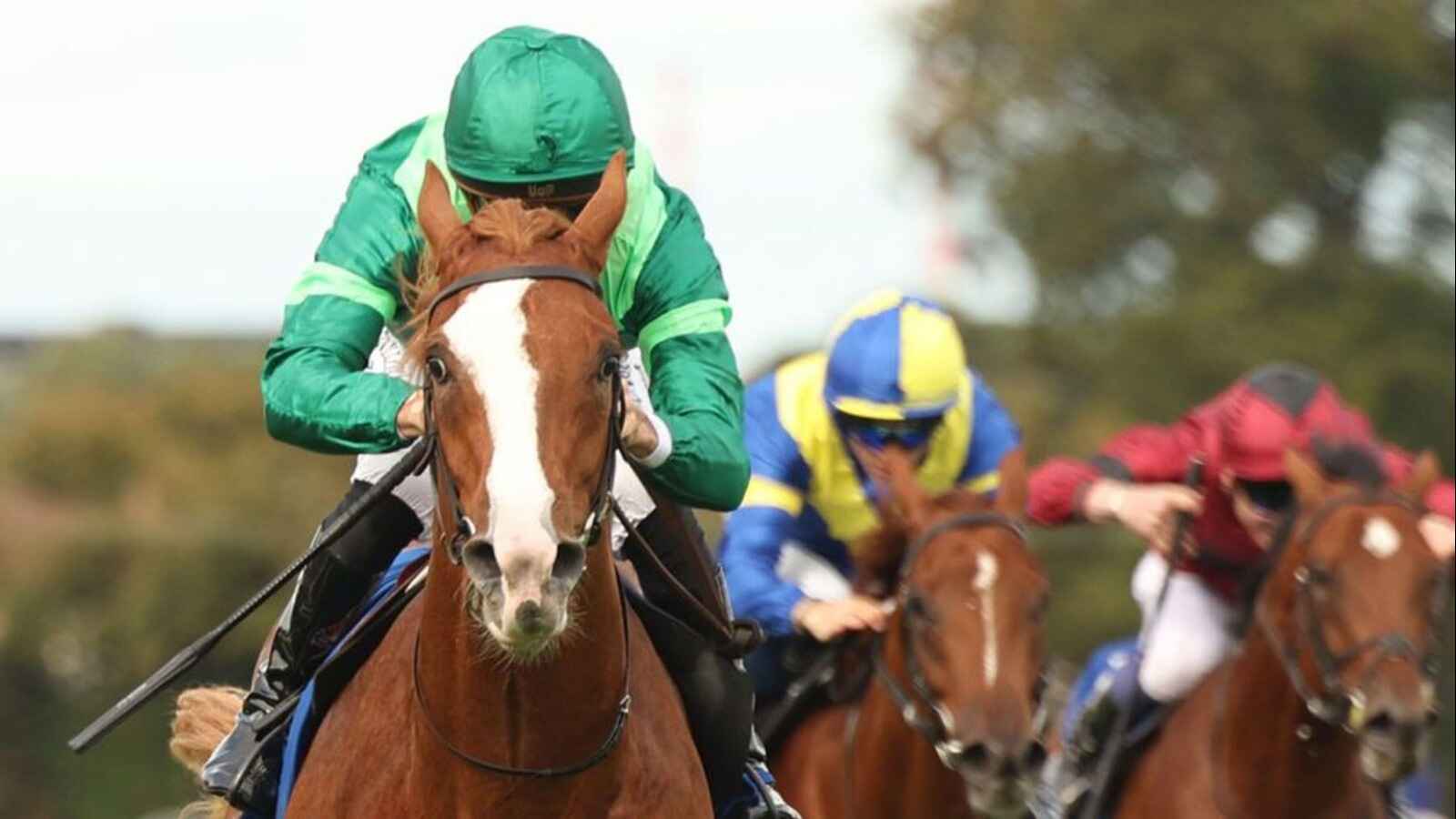 Benvenuto Cellini Epsom Derby