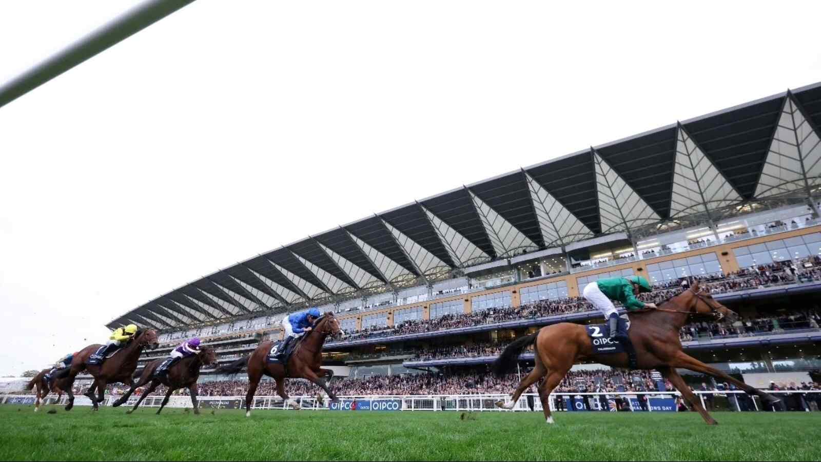 Calandagan at Ascot Racecourse