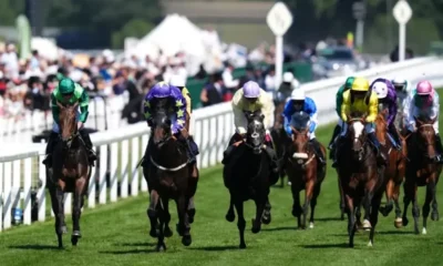 Camers Royal Ascot