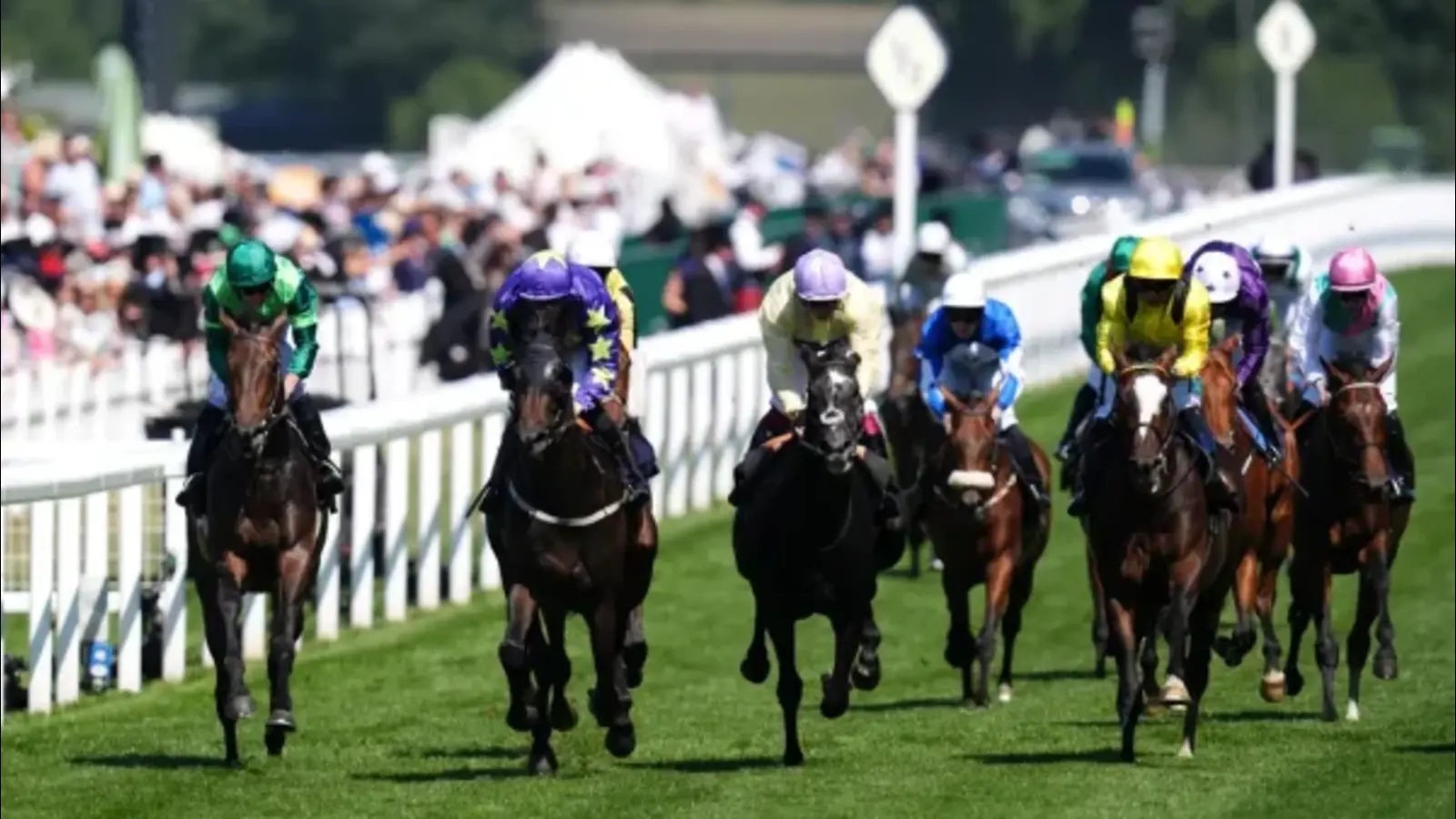 Camers Royal Ascot