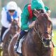 Daryz wins the Prix Ganay