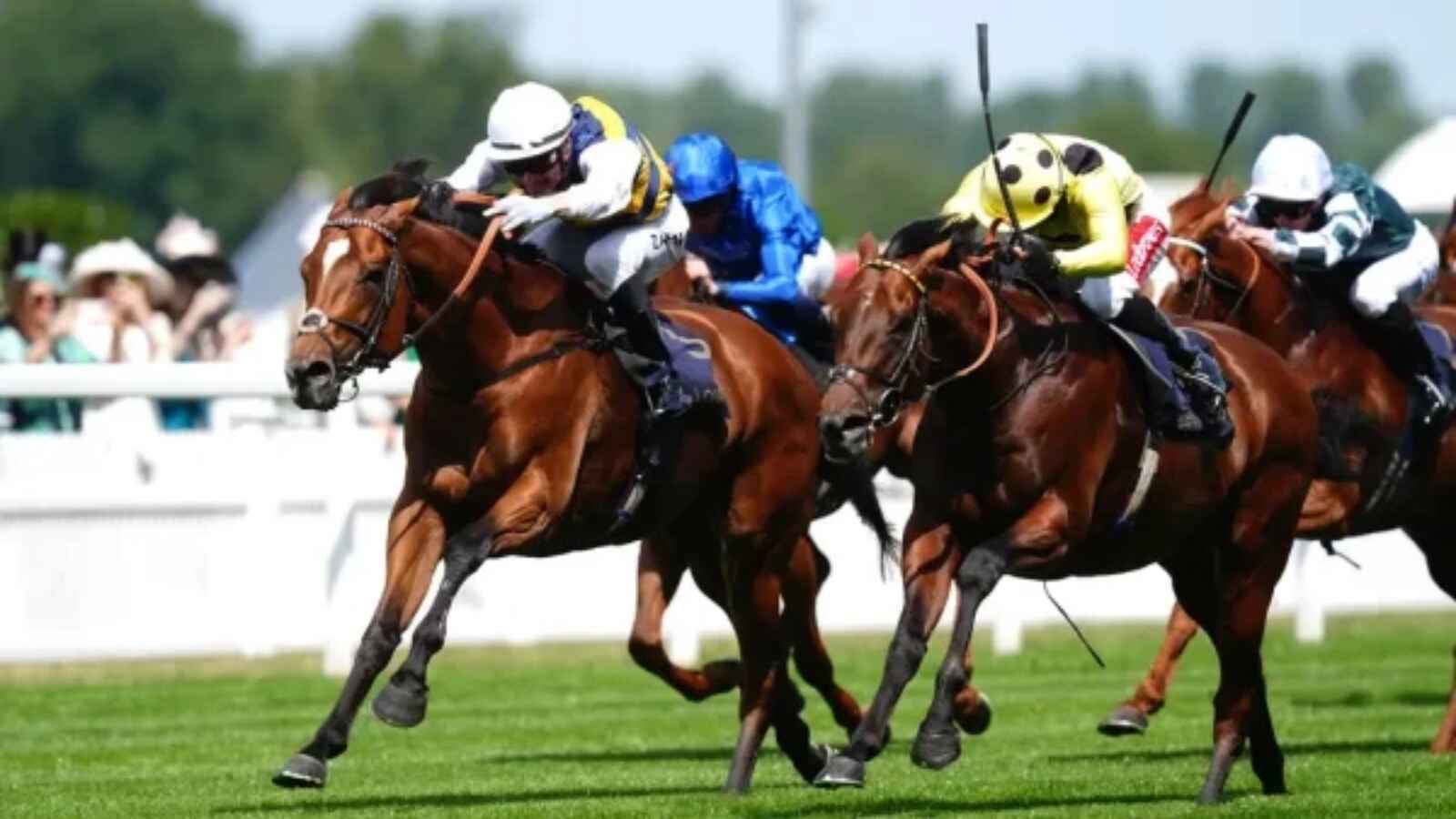 Docklands beating Rosallion in the Queen Anne Stakes Royal Ascot