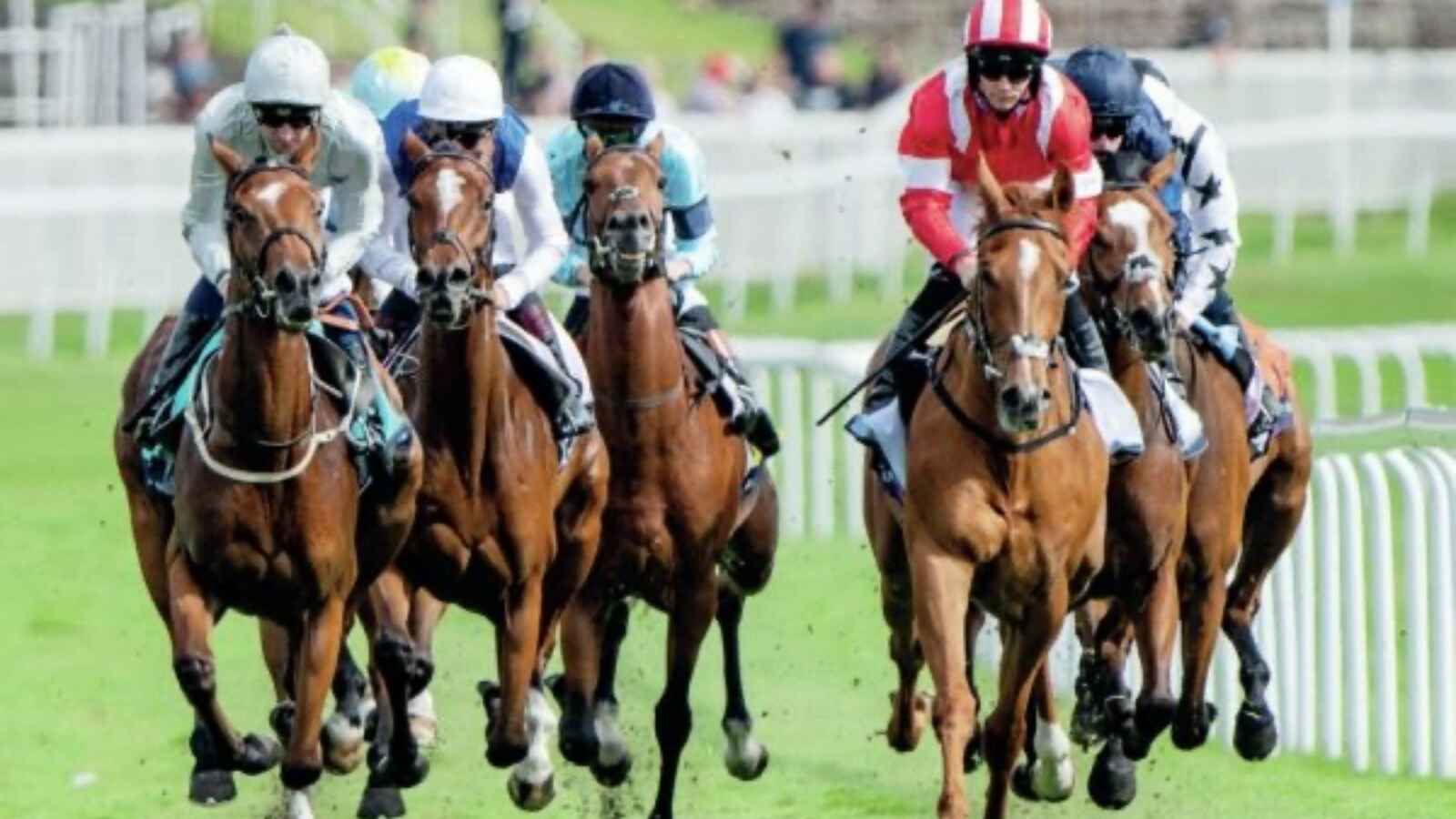Folk Pageant wins at Newmarket