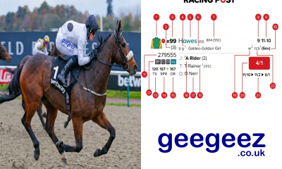 GeeGeez Racing Post Ratings