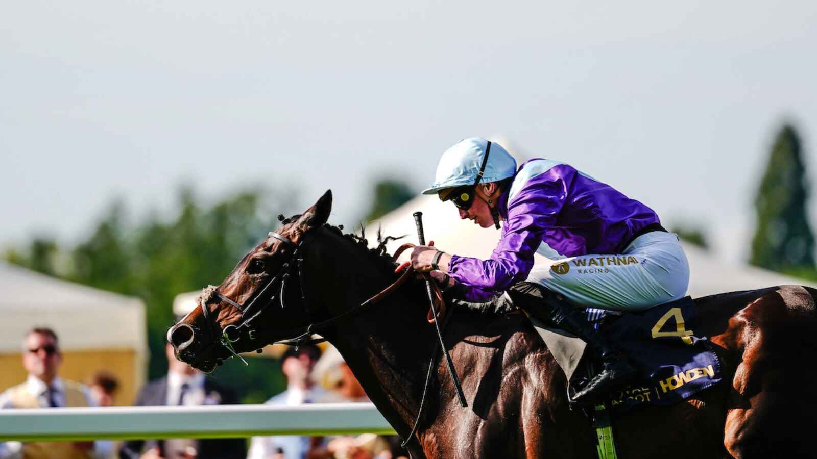Generic wins the Hampton Court Stakes (credit Megan Rose Photography).