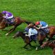 Great Barrier Reef wins the Coventry Stakes (credit Megan Rose Photography)