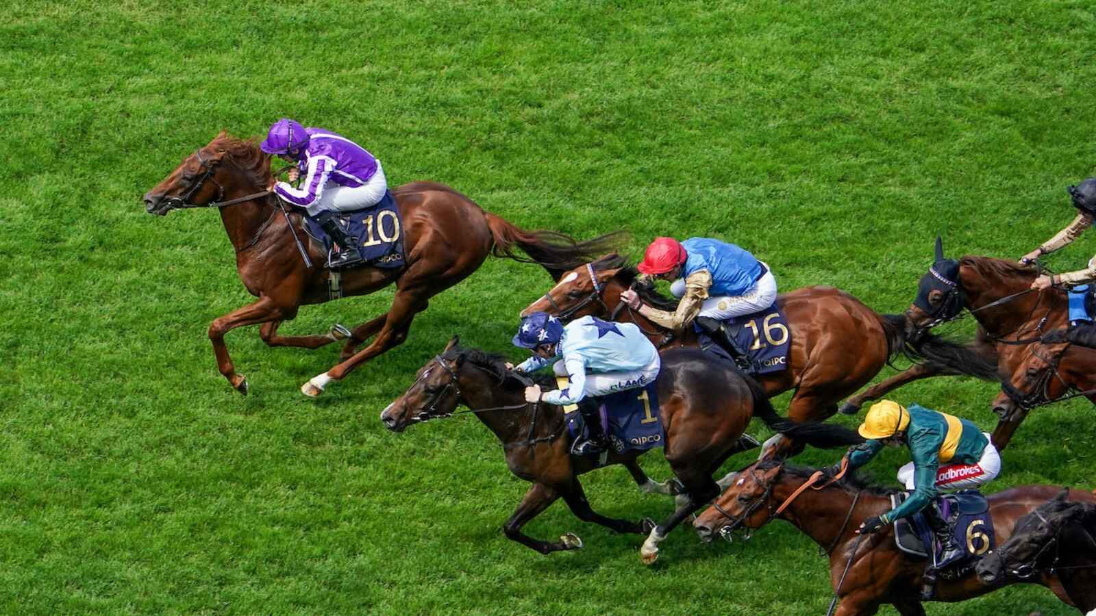 Great Barrier Reef wins the Coventry Stakes (credit Megan Rose Photography)