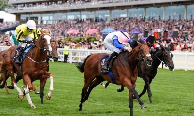 Limestone wins the Queen's Vase (credit Megan Rose Photography)