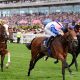 Limestone wins the Queen's Vase (credit Megan Rose Photography)