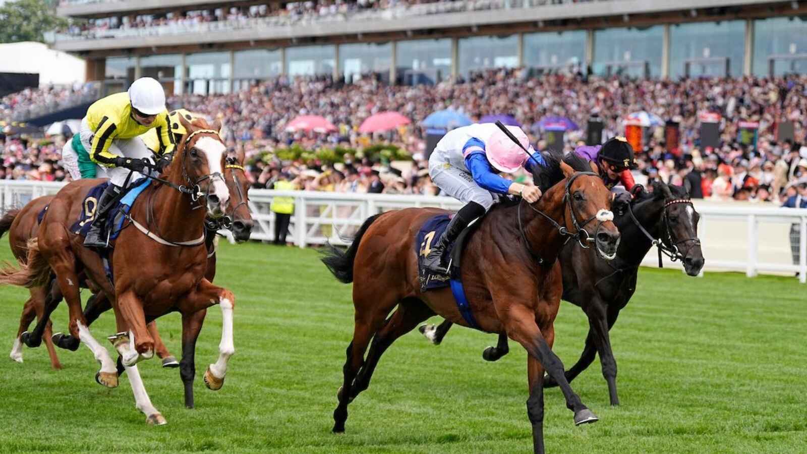 Limestone wins the Queen's Vase (credit Megan Rose Photography)