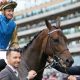 Map Of Stars wins the Wolferton Stakes (credit Megan Rose Photography)
