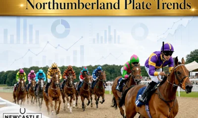 Northumberland Plate Trends