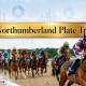Northumberland Plate Trends