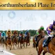 Northumberland Plate Trends