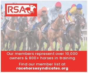 Looking for the right syndicate or racing club? Racehorse Syndicates Association