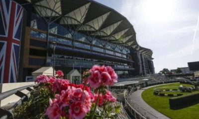 Royal Ascot grandstand