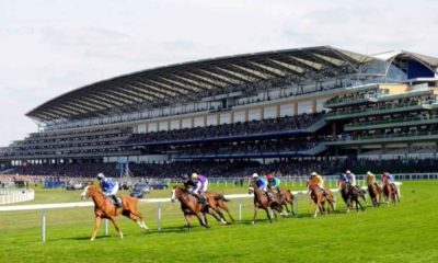 Royal Ascot turn and grandstand