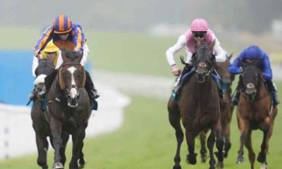 Scandinavia (left) beat older horses to win the Goodwood Cup (Andrew Matthews/PA)