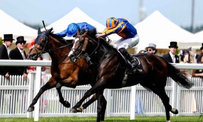 Scandinavia wins the Gold Cup (credit Megan Rose Photography)