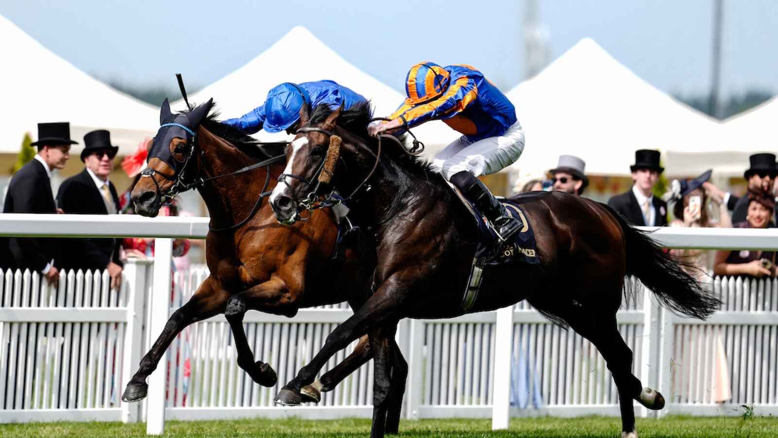 Scandinavia wins the Gold Cup (credit Megan Rose Photography)