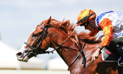 Ten Bob Tony wins the Queen Anne Stakes (credit Megan Rose Photography)