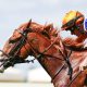 Ten Bob Tony wins the Queen Anne Stakes (credit Megan Rose Photography)