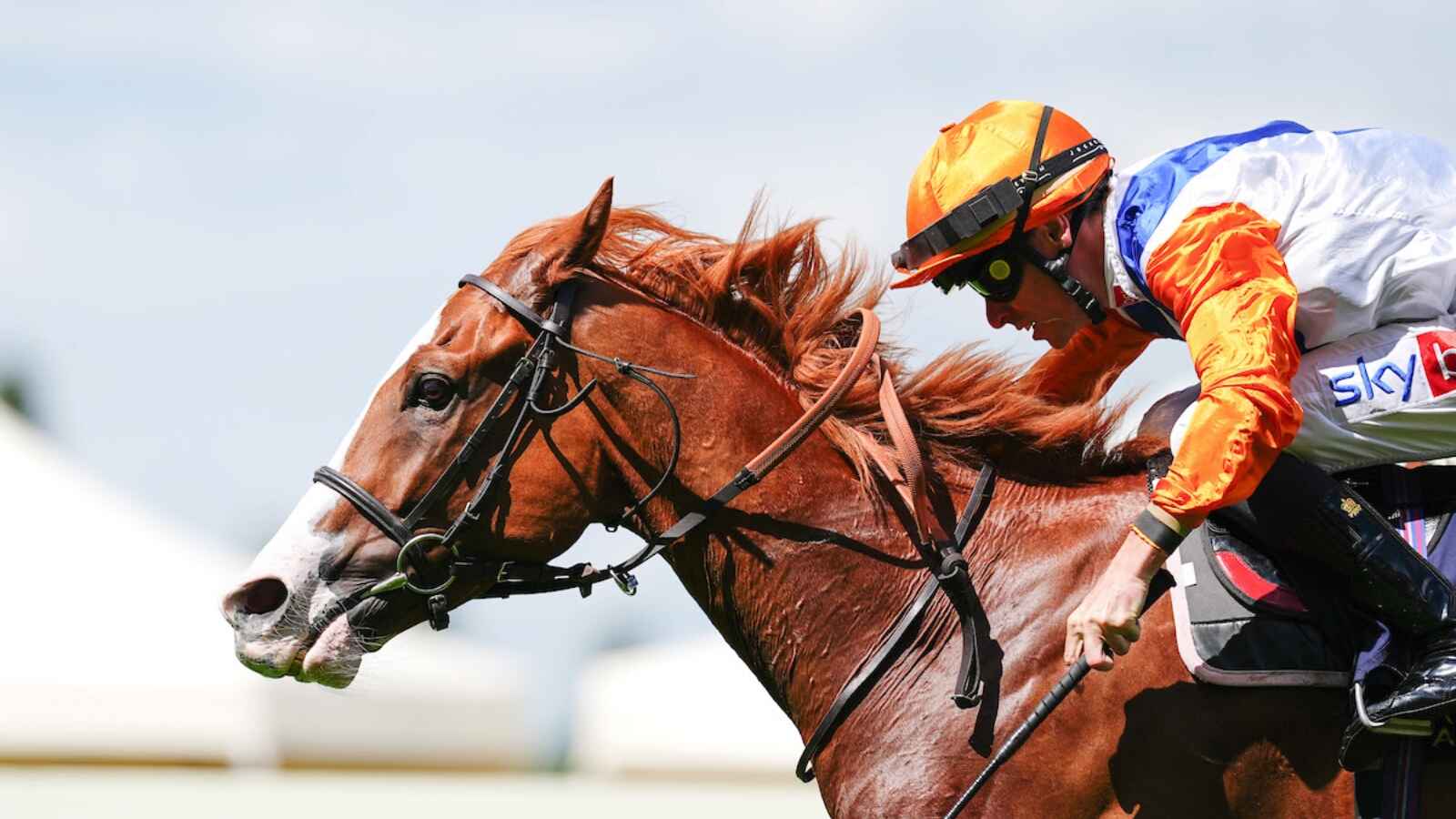 Ten Bob Tony wins the Queen Anne Stakes (credit Megan Rose Photography)