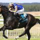 Ryan Moore and Scandinavia cruise home in the Al Shaqab Goodwood Cup Stakes