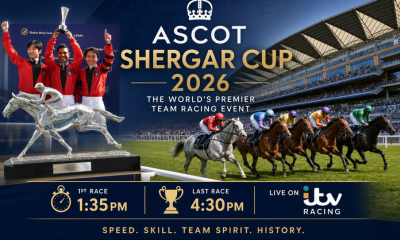 Ascot Shergar Cup 2026