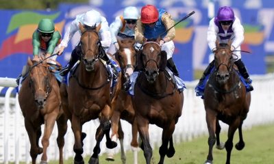 Evening Saigon (red cap) edges out Stratusnine in the Stewards’ Cup